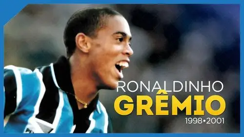 备多样性的 备多样性的